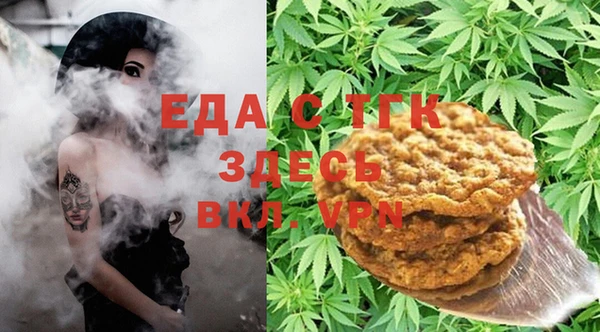 гидра Гусев