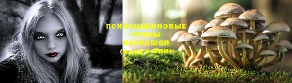 винт Горнозаводск