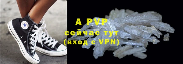 ешки Горняк