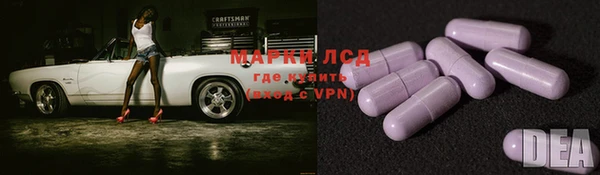 гидра Гусев