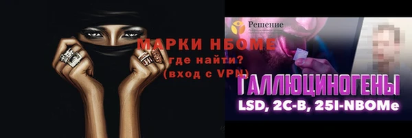 гидра Гусев