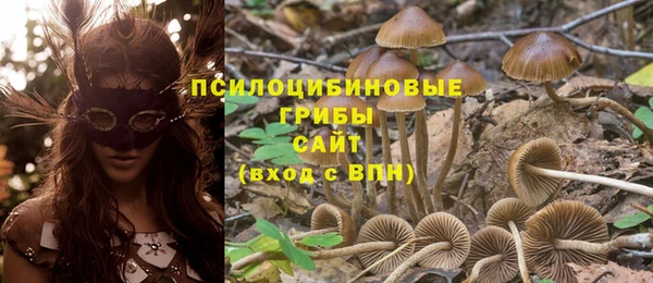 ешки Горняк
