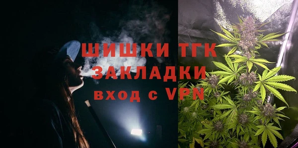 ешки Горняк